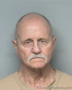 Mugshot of STRADER ALLEN BRILES