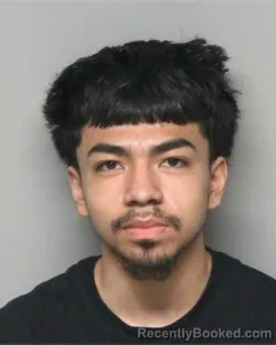 Mugshot of ALAN VARENGA
