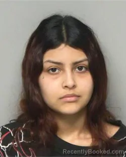 Mugshot of AILEEN LIZZETH RODRIGUEZ