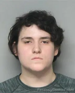 Mugshot of SETH RICHARD BULLARD