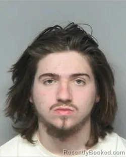 Mugshot of TYLER ANDRE MILLS