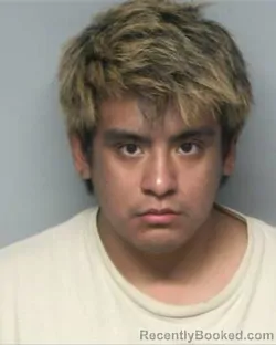 Mugshot of ISAI LUNA TORRES