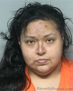 Mugshot of LIZA YANETH GARCIA
