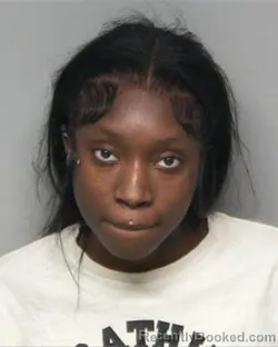 Mugshot of NATASHA NICK booked in Randolph County, North Carolina on April 4, 2026