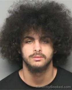 Mugshot of JAYDEN EDWARD MAINES