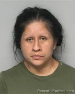 Mugshot of MARI GUADALUPE CHAVEZ booked in Randolph County, North Carolina on April 4, 2026