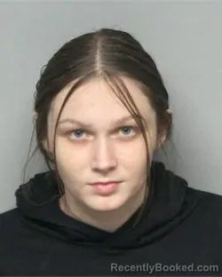 Mugshot of JAIDEN SHAE CLARK
