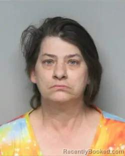 Mugshot of TINA ANNE LOWDER MCDOWELL