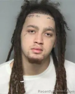 Mugshot of ALISHAJUAN GOLDSTON