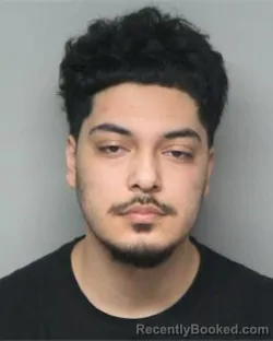 Mugshot of RICARDO CASTANEDA