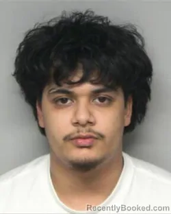 Mugshot of JONATHAN PEREZ CANELA