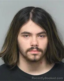 Mugshot of JOSEPH NOLAN GAULDIN