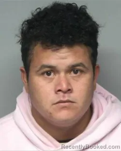 Mugshot of LUIS ALVAREZ GARCIA