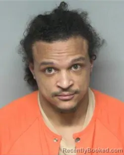 Mugshot of DAMIEN PHILLIP ROBINSON