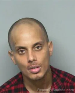 Mugshot of RYAN ASHTON HALL