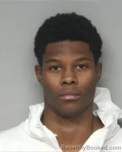 Mugshot of NIKKESE TYSHAWN MATTHEWS