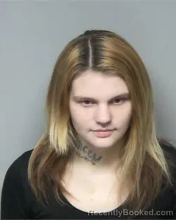 Mugshot of LINDSAY DAWN NOBLES