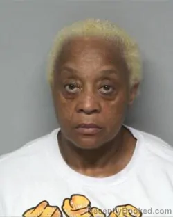 Mugshot of BARBARA WILSON ARCHIE booked in Randolph County, North Carolina on April 28, 2026