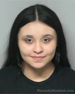 Mugshot of MICHELLE ROMAN