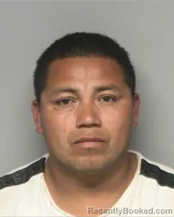 Mugshot of MODESTO ALONSO MENDEZ