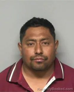 Mugshot of JORGE MENDOZA CABANZO