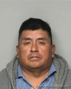 Mugshot of FRANCISCO RAMOS GERARDO