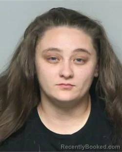 Mugshot of SHELBY ERIN LEE booked in Randolph County, North Carolina on April 24, 2026