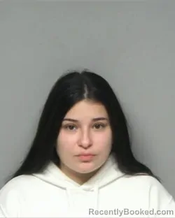 Mugshot of Domenica Rosalina Vasquez Molina booked in Randolph County, North Carolina on August 15, 2026