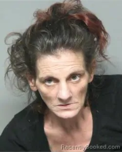 Mugshot of GINA DENISE BRADY booked in Randolph County, North Carolina on May 9, 2026
