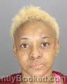 Mugshot of NIKKI RENAE COX
