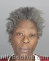 Mugshot of MINNIE BURNETT VIVERETTE