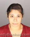 Mugshot of Cecilia Renee Yrlas booked in Oakland County, Michigan on August 24, 2026