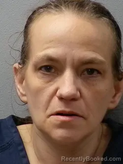 Mugshot of Alicia Raye Hamilton booked in Oceana County, Michigan on April 25, 2026