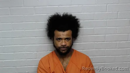 Mugshot of JERRY BRANDON ARNETTE booked in Richmond County, North Carolina on March 25, 2026