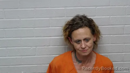 Mugshot of MELISSA LYNN ARGUETA