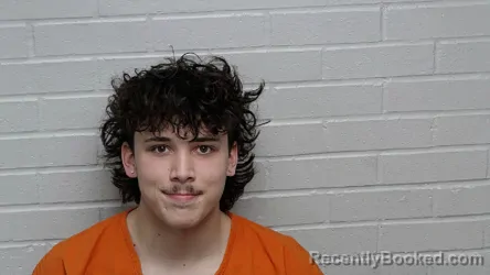 Mugshot of AYDEN BATSON