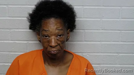Mugshot of OLIVIA MICHELLE BRISTOW booked in Richmond County, North Carolina on July 1, 2026