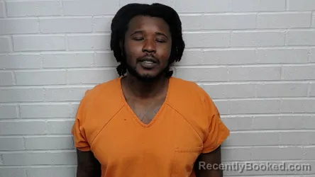Mugshot of NAPOLEON LATAWN ELLERBE