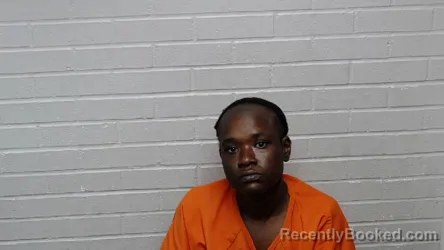 Mugshot of TASHIE DANESHA ELLERBE booked in Richmond County, North Carolina on May 9, 2026
