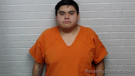Mugshot of CHRISTIAN DOMINGUEZ- HERNANDEZ