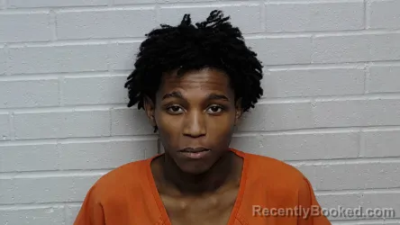 Mugshot of MONTEISE LOVONTE HUBBARD booked in Richmond County, North Carolina on July 29, 2026