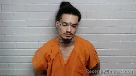 Mugshot of BRAXTON MONTGOMERY LEWIS booked in Richmond County, North Carolina on March 31, 2026