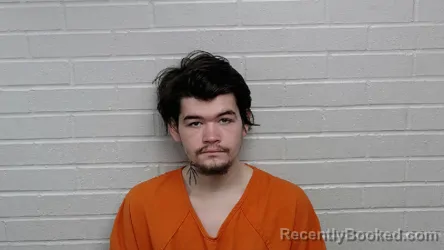 Mugshot of MATHEW AARON NICHOLSON