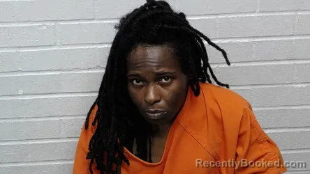 Mugshot of JAMESHA SHANICE WILSON booked in Richmond County, North Carolina on July 3, 2026