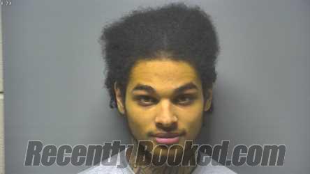 Booking photo from Saginaw County, Michigan