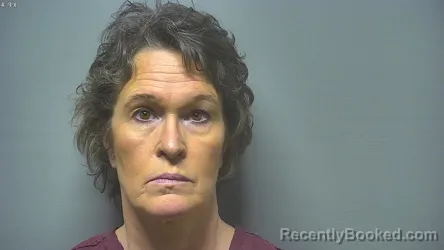 Booking photo from Saginaw County, Michigan