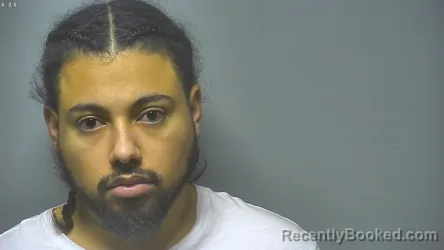 Mugshot of RONALD SEAN MILLER