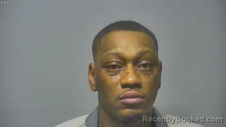 Mugshot of STERLING LESHONE BERRIEN