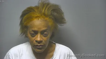 Mugshot of LISA MICHELLE KOLKA