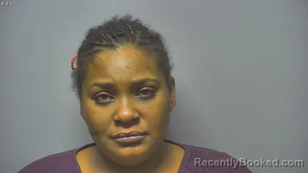 Mugshot of RENEE PARIS JOHNSON